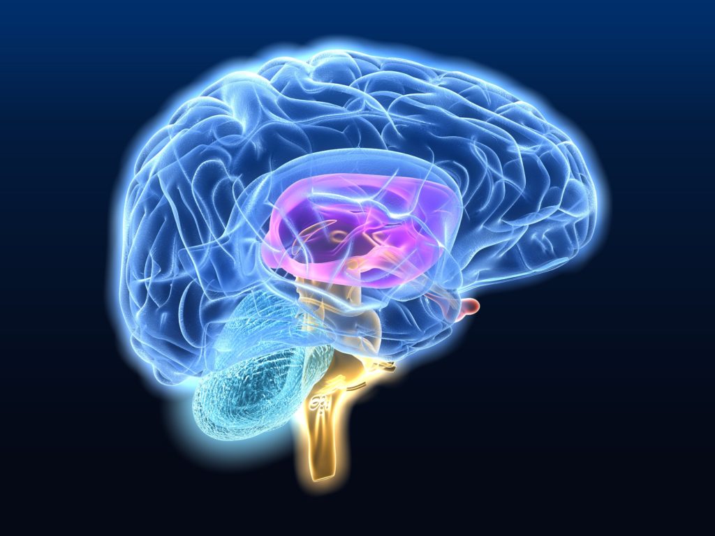 атеросклероз сосудов головного мозга